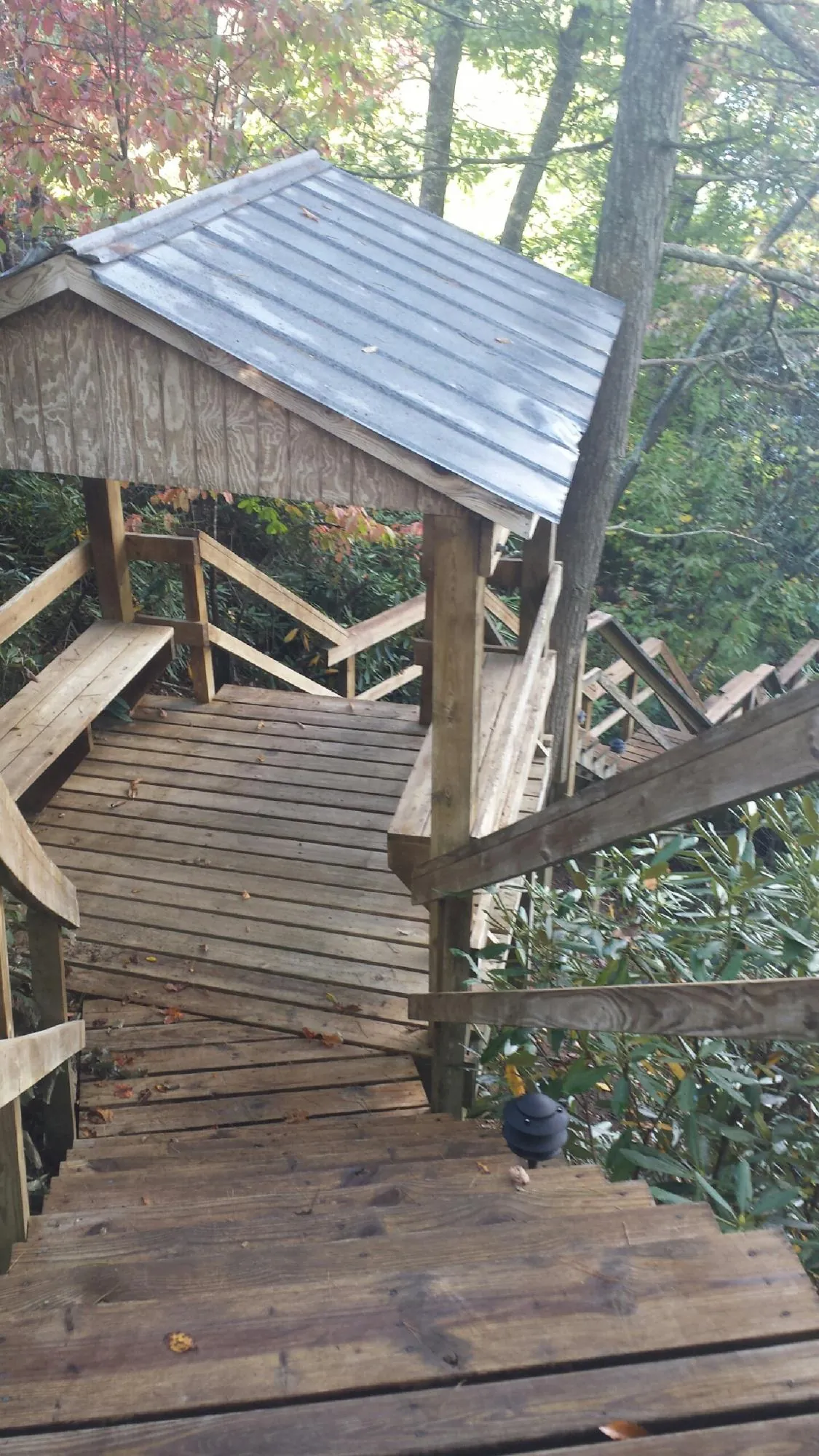 Metal roofed shelter over wooden steps on a wooded walkway — Skylight Repair & Installation work by our crew in Cusseta